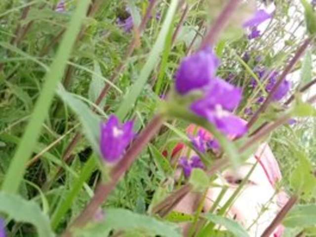 BARBIGIRLA amateur webcam photo