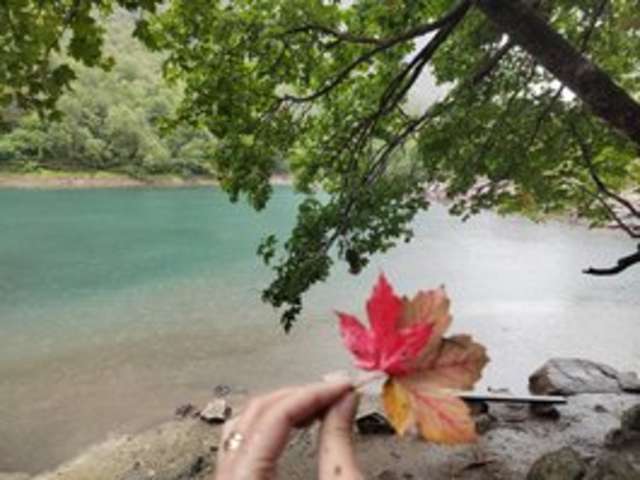 _GOODGIRL_ amateur webcam photo